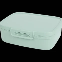 Curver Boîte repas avec compartiment* Conserver Et Emporter