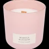 Action Bougie parfumée* Bougies