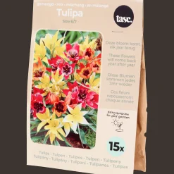 Action Bulbes à fleurs* Semis Et Plantes