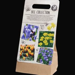 Action Bulbes de fleurs* Semis Et Plantes