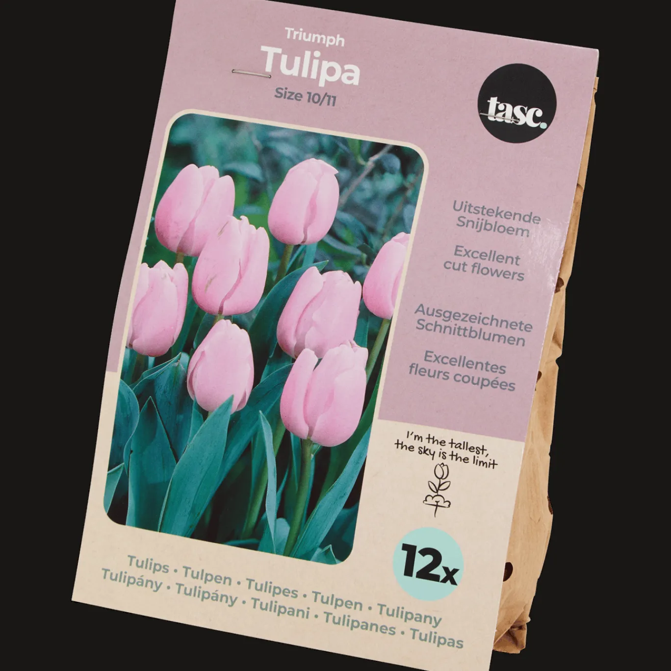 Action Bulbes de tulipe* Semis Et Plantes
