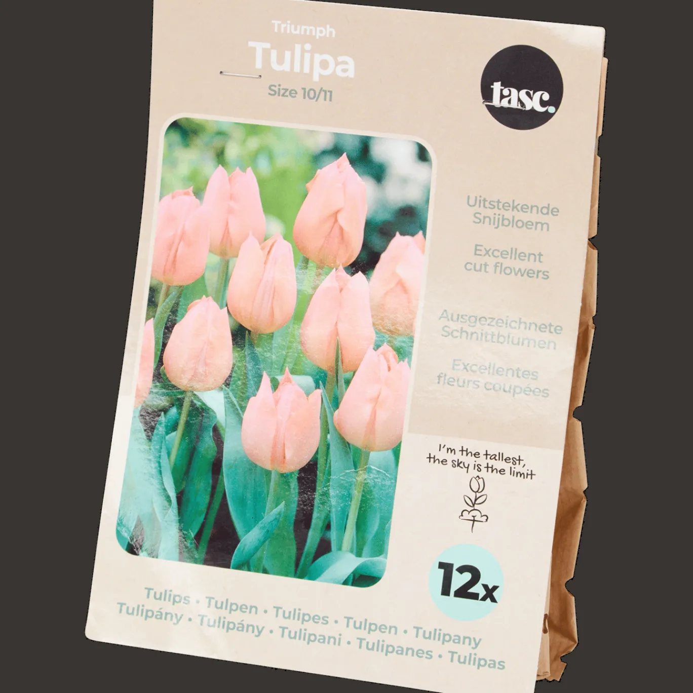 Action Bulbes de tulipe* Semis Et Plantes