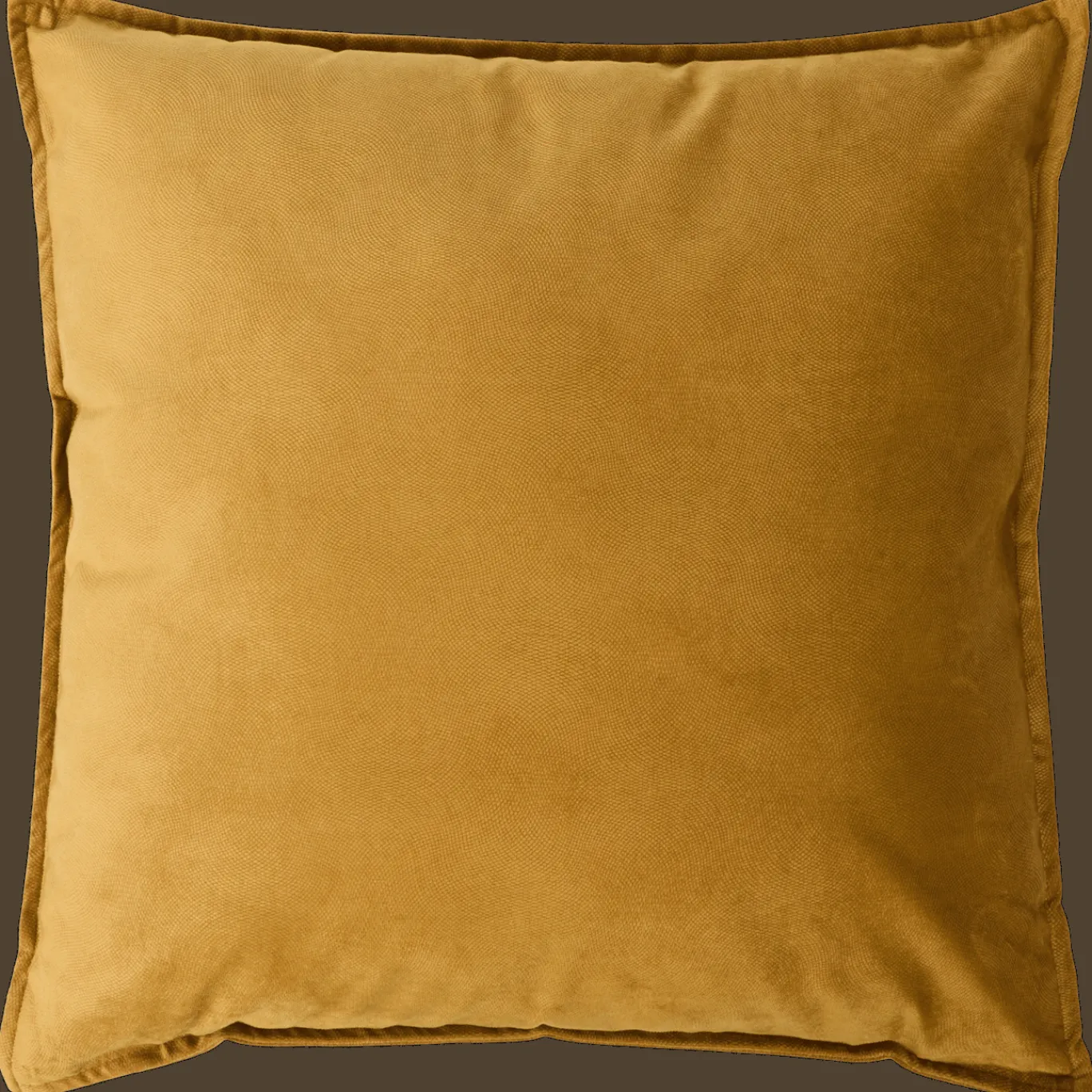 Action Coussin décoratif en velours Lilou* Oreillers