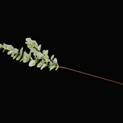 Action Eucalyptus artificiel sur tige Excellent Flowers* Plantes Et Fleurs Artificielles