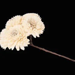 Action Fleurs séchées* Plantes Et Fleurs Artificielles