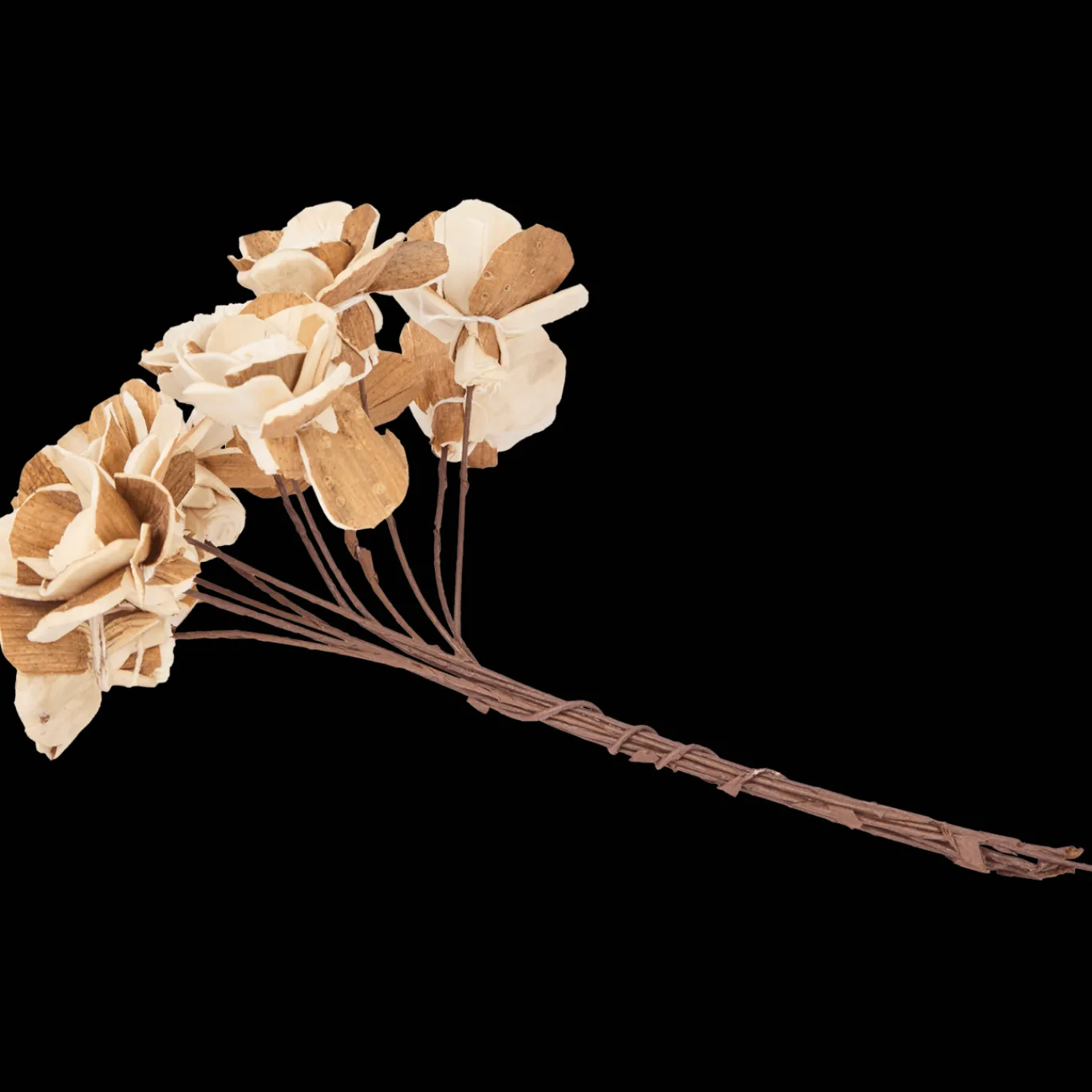 Action Fleurs séchées* Plantes Et Fleurs Artificielles