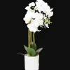 Action Orchidée artificielle en pot* Plantes Et Fleurs Artificielles