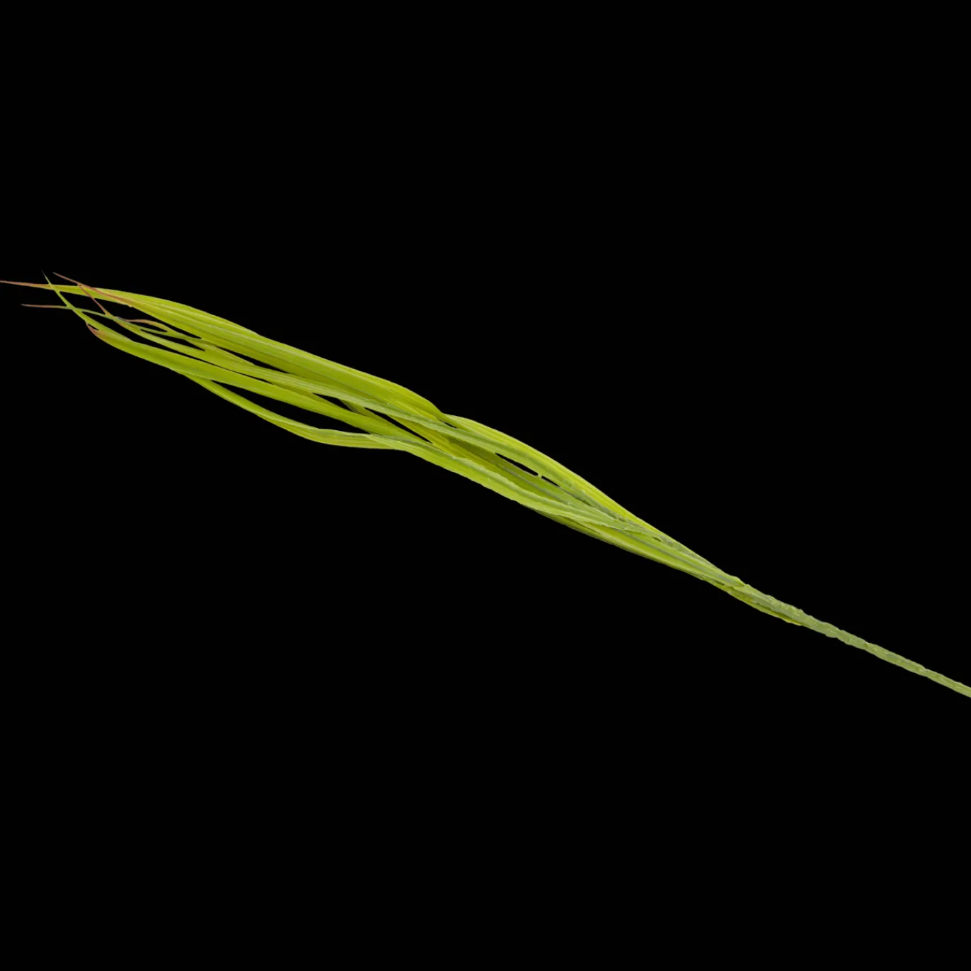 Action Panache artificiel* Plantes Et Fleurs Artificielles