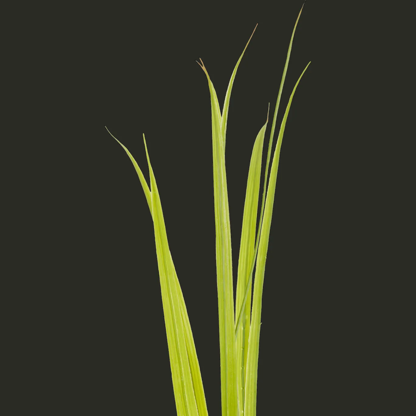 Action Panache artificiel* Plantes Et Fleurs Artificielles