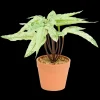 Action Plante artificielle en pot* Plantes Et Fleurs Artificielles