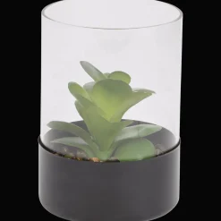 Action Plante grasse artificielle dans un terrarium* Plantes Et Fleurs Artificielles