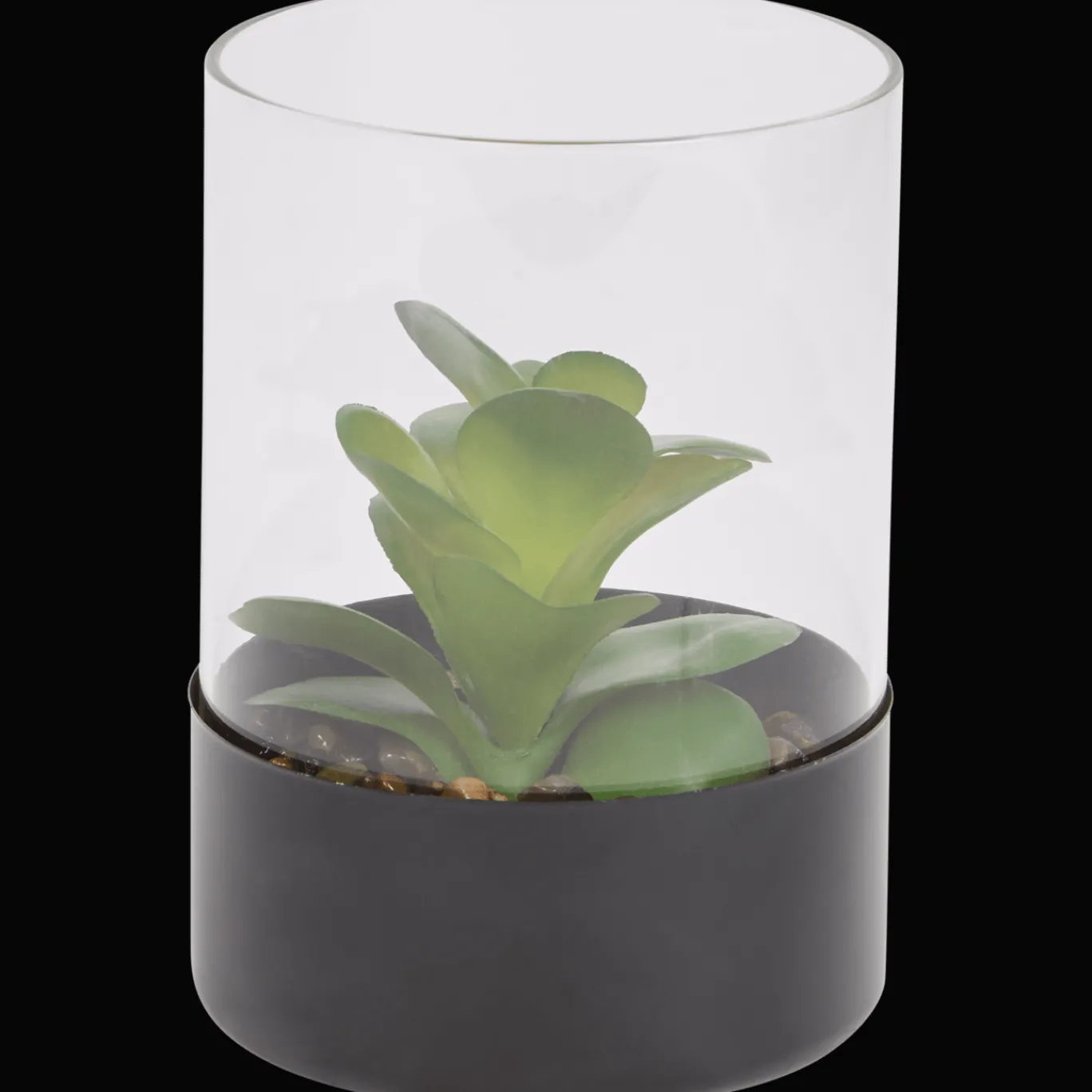 Action Plante grasse artificielle dans un terrarium* Plantes Et Fleurs Artificielles