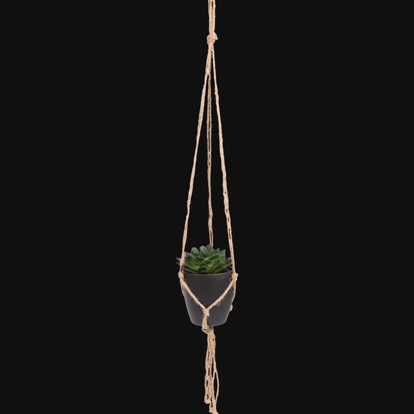 Action Plante grasse artificielle dans un pot suspendu* Plantes Et Fleurs Artificielles