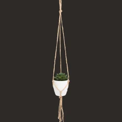 Action Plante grasse artificielle dans un pot suspendu* Plantes Et Fleurs Artificielles