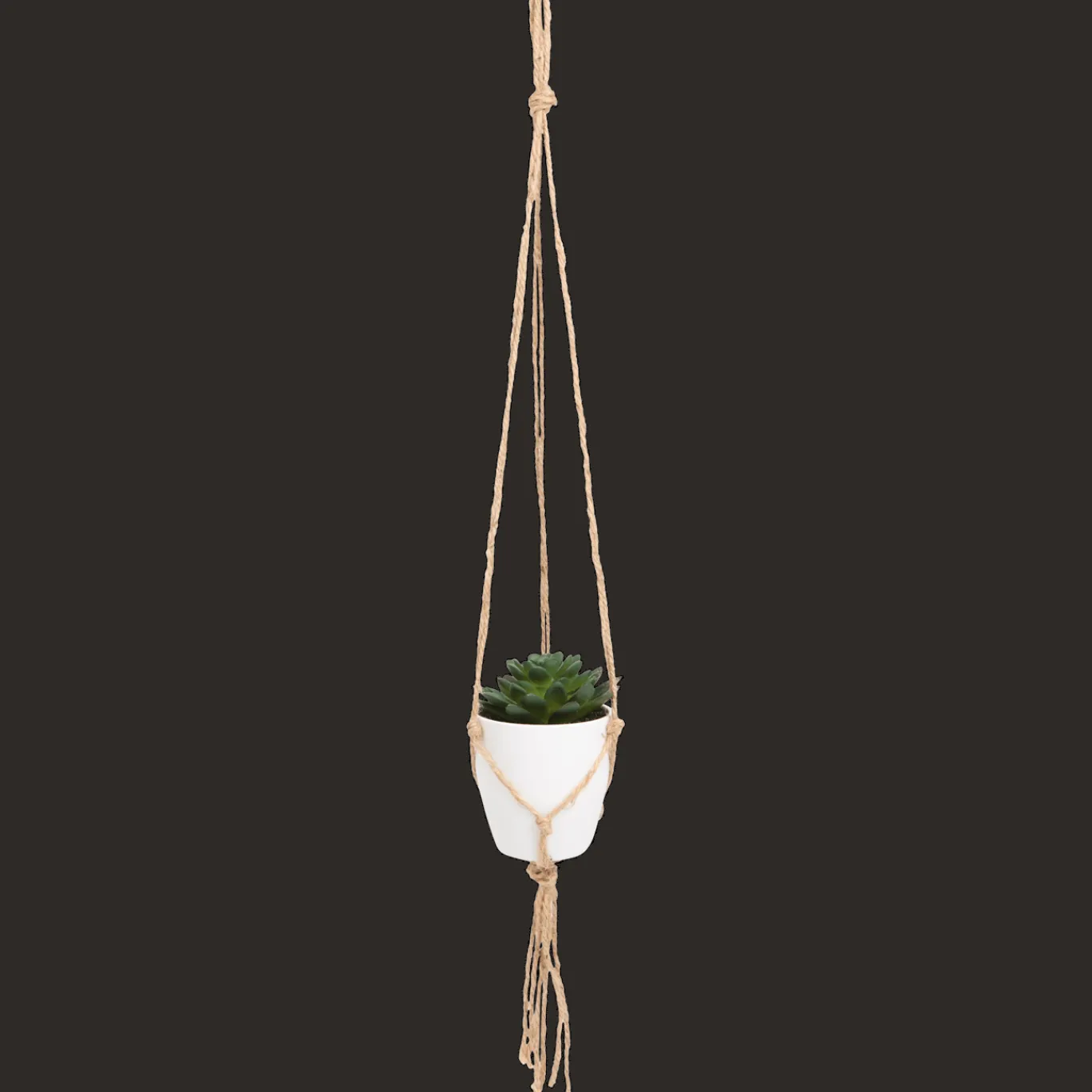 Action Plante grasse artificielle dans un pot suspendu* Plantes Et Fleurs Artificielles