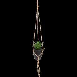 Action Plante grasse artificielle dans un pot suspendu* Plantes Et Fleurs Artificielles