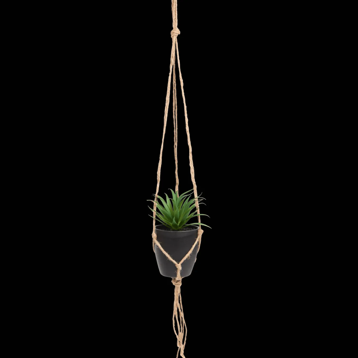 Action Plante grasse artificielle dans un pot suspendu* Plantes Et Fleurs Artificielles