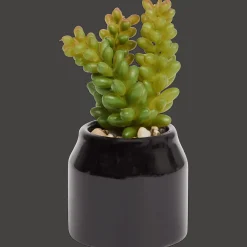 Action Plante grasse artificielle en pot Home Accents* Plantes Et Fleurs Artificielles