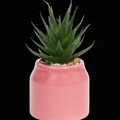 Action Plante grasse artificielle en pot Home Accents* Plantes Et Fleurs Artificielles