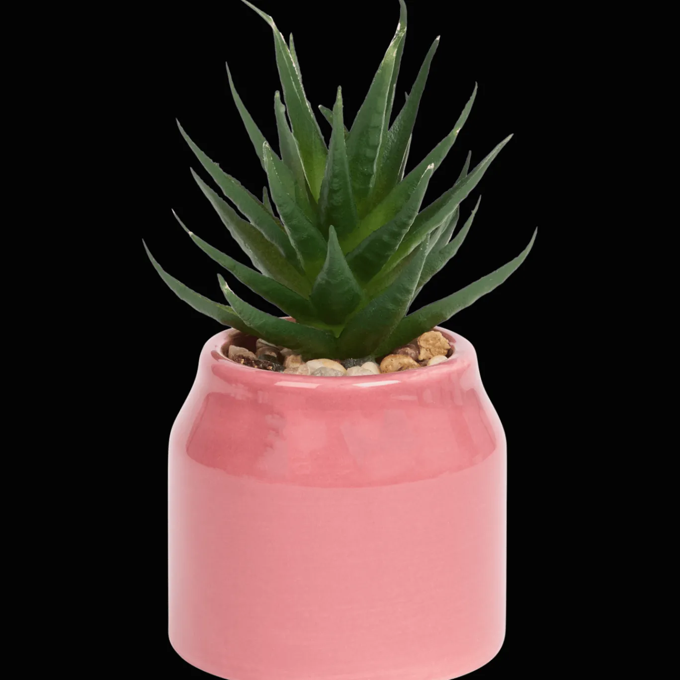 Action Plante grasse artificielle en pot Home Accents* Plantes Et Fleurs Artificielles