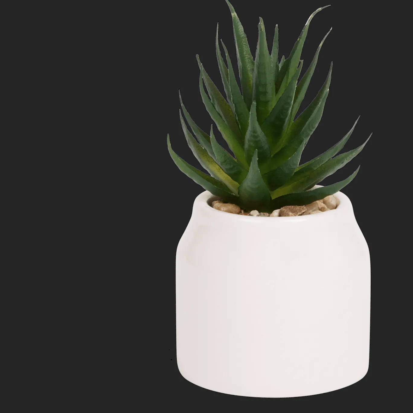 Action Plante grasse artificielle en pot Home Accents* Plantes Et Fleurs Artificielles
