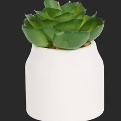 Action Plante grasse artificielle en pot Home Accents* Plantes Et Fleurs Artificielles