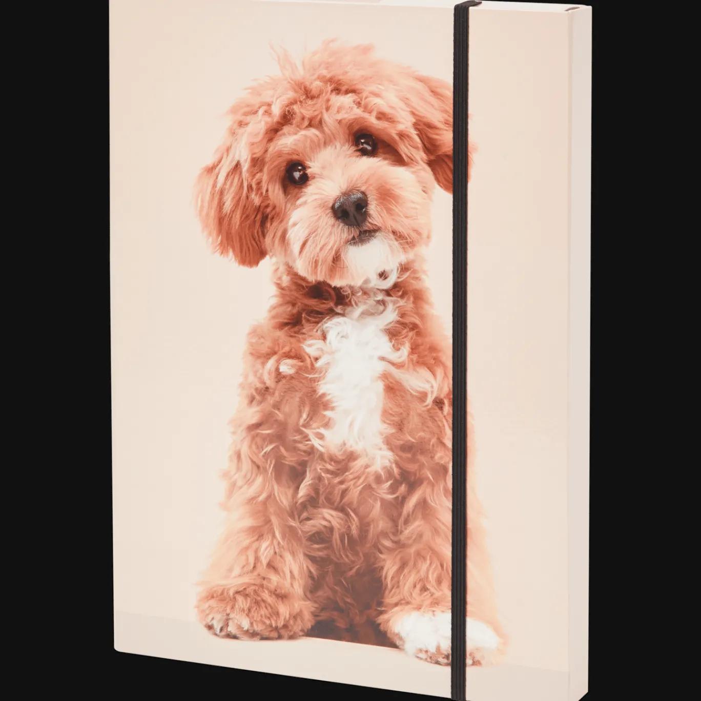 Action Pochette cartonnée épaisse A4* Chemises